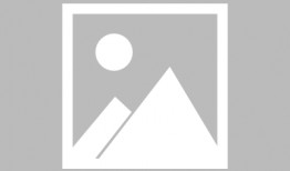 猪价最新爆料图片高清,高清爆料揭示市场新动态