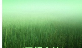 风景最新爆料文案短句图片,揭秘最新爆料，短句图片勾勒绝美画卷